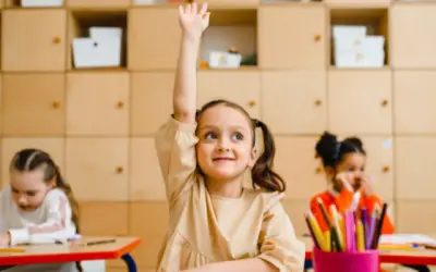 What should ‘digital literacy’ look like in an age of algorithms and AI? Neil Selwyn